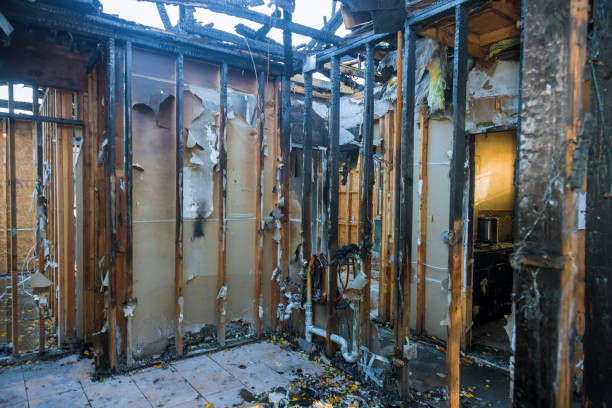 Professional Fire Damage Restoration technician working in Bardmoor, FL